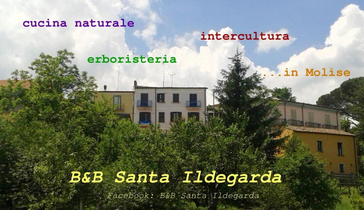 B&B Santa Ildegarda Cantalupo nel Sannio 客房 照片